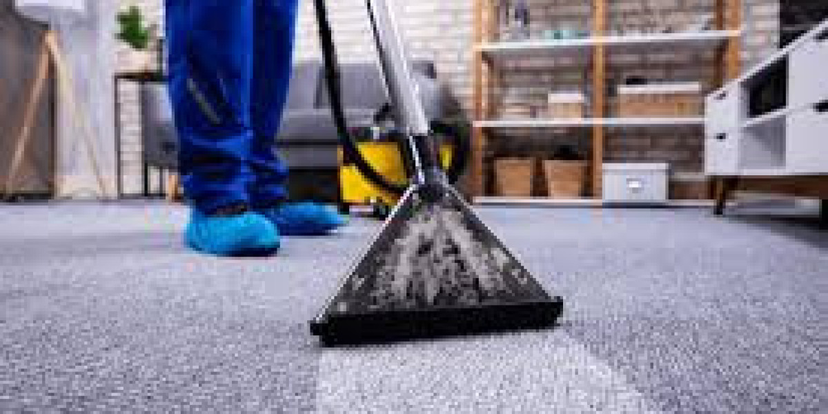 Why Carpet Cleaning is Essential for Allergy Sufferers