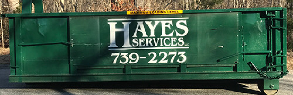 Hayes CT Cover Image