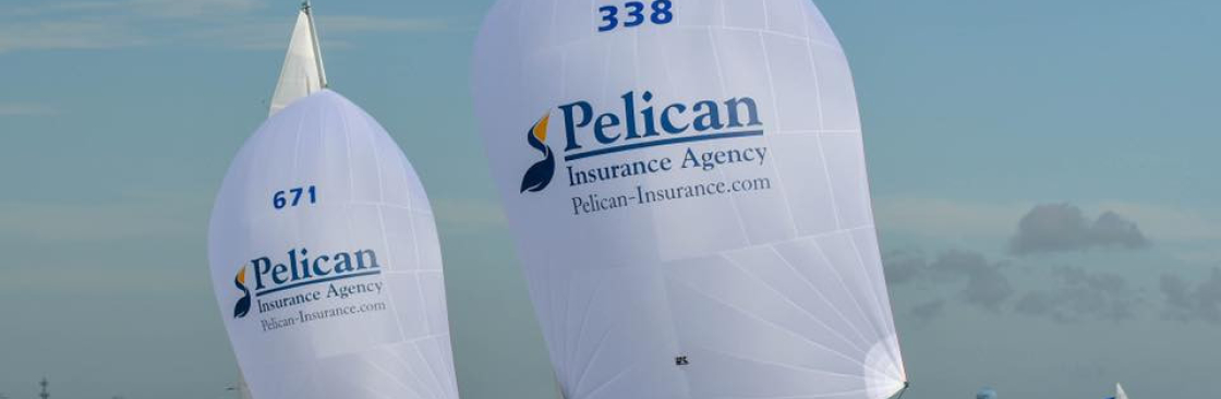 Pelican Insurance Cover Image