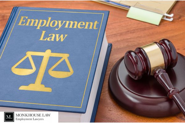 Protect Your Rights: The Top Benefits of Hiring an Employment Lawyer Toronto - Instant Live Your Post