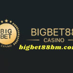 Bigbet88 Casino profile picture