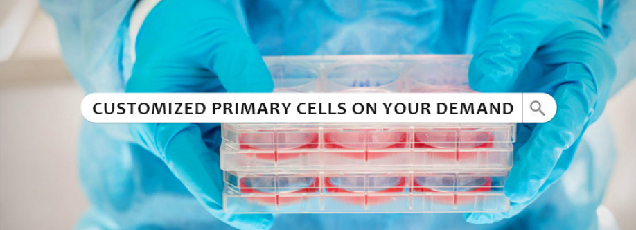 Kosheeka Primary Cells for Research Cover Image