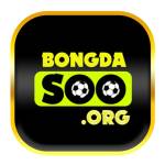 Bongda So Profile Picture