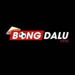 bongdaluvip io profile picture