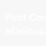 Pest control Marizopa az Profile Picture