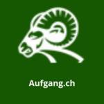 Auf Gang Profile Picture