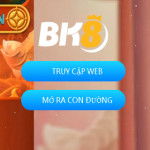 Bk 8 Profile Picture