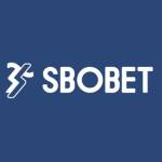 sbobet ooo Profile Picture